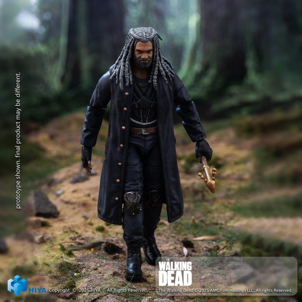Hiya Toys - Walking Dead (2)