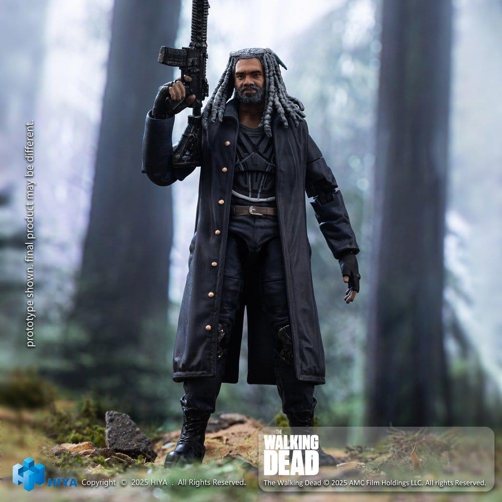 Hiya Toys - Walking Dead (3)