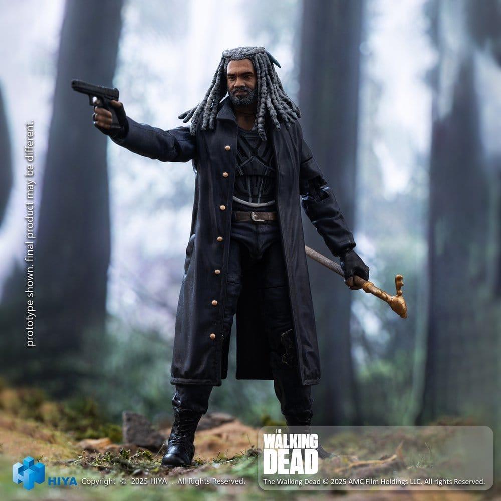 Hiya Toys - Walking Dead (4)